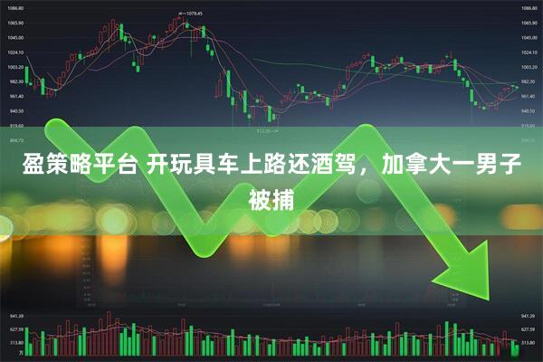 盈策略平台 开玩具车上路还酒驾，加拿大一男子被捕