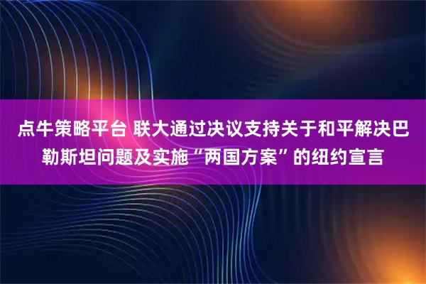 点牛策略平台 联大通过决议支持关于和平解决巴勒斯坦问题及实施“两国方案”的纽约宣言