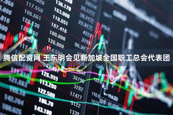 腾信配资网 王东明会见新加坡全国职工总会代表团