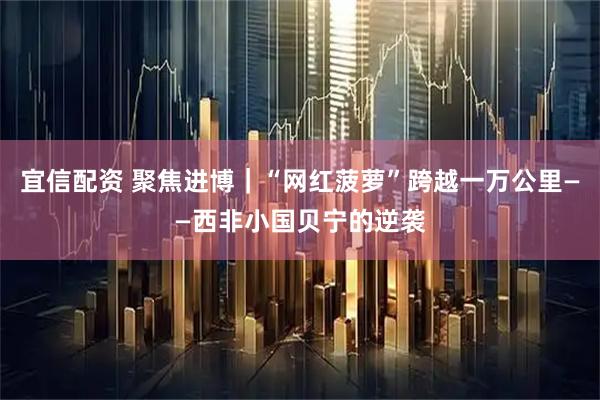 宜信配资 聚焦进博｜“网红菠萝”跨越一万公里——西非小国贝宁的逆袭